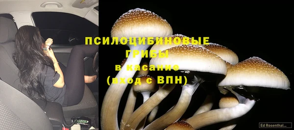 apvp Арсеньев