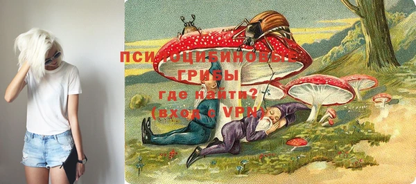 а пвп мука Армянск