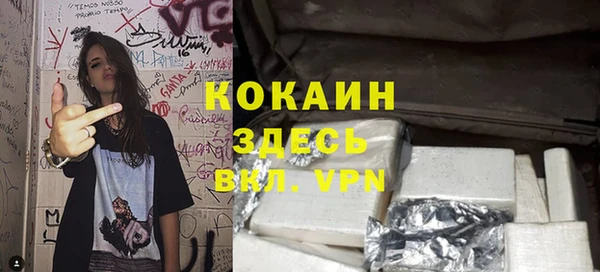 спиды Пересвет
